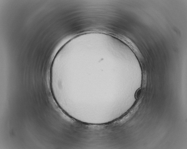 X0000111590812200908131339
