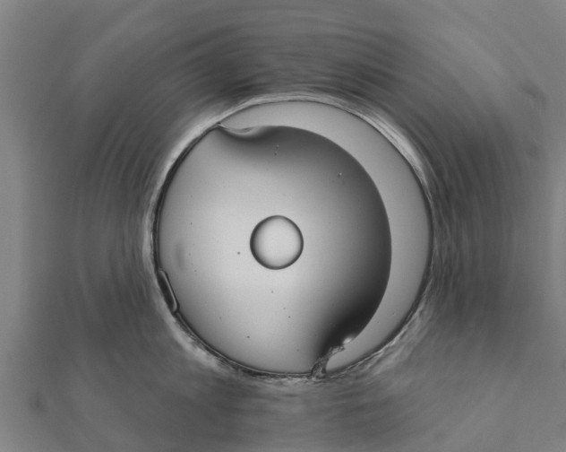 X0000111590813200908131339