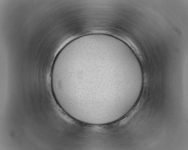 X0000111590814200908131339