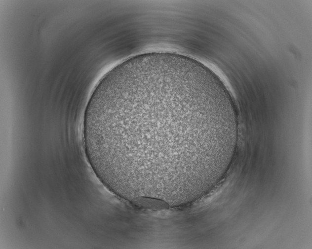 X0000111590815200908131339