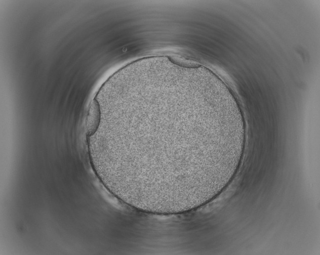 X0000111590816200908131339