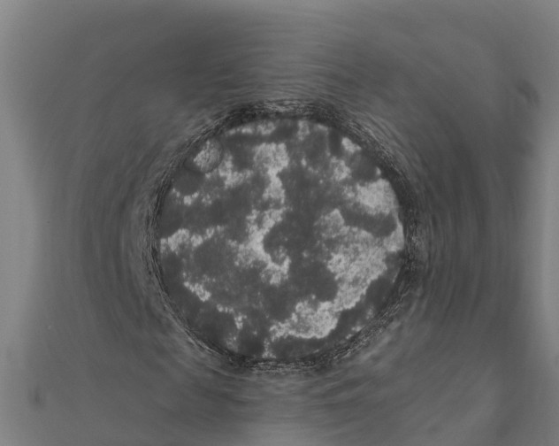 X0000111590817200908131338