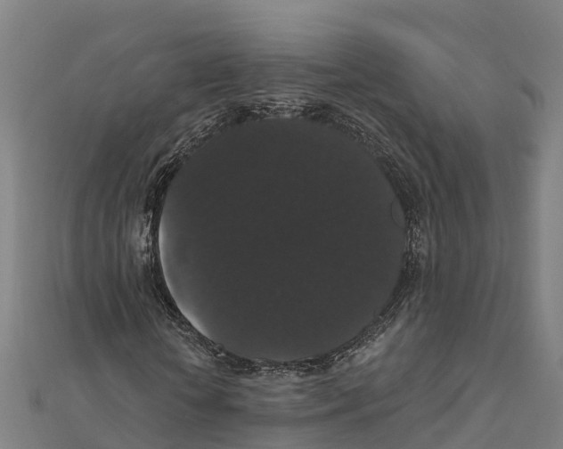 X0000111590818200908131338