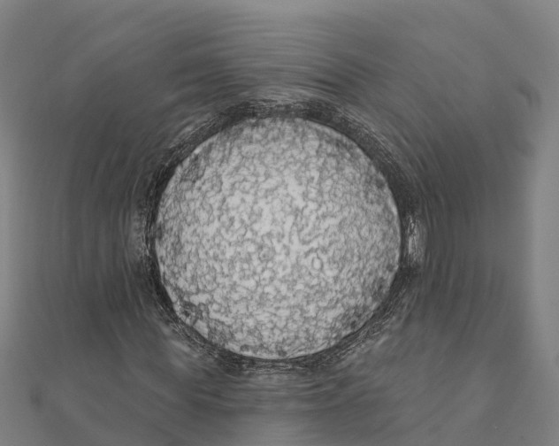 X0000111590819200908131338