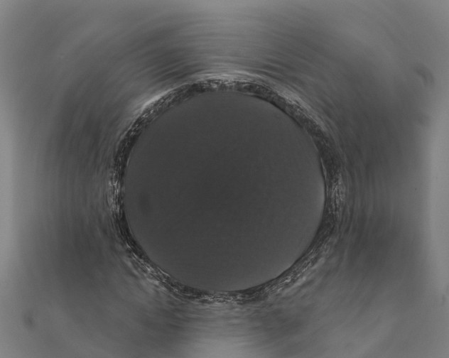 X0000111590822200908131338