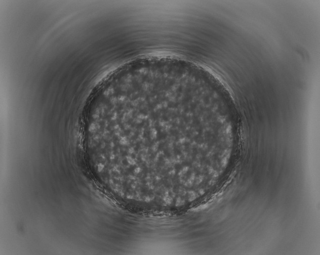 X0000111590823200908131338