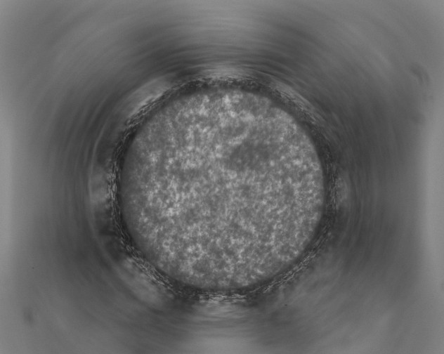 X0000111590824200908131338