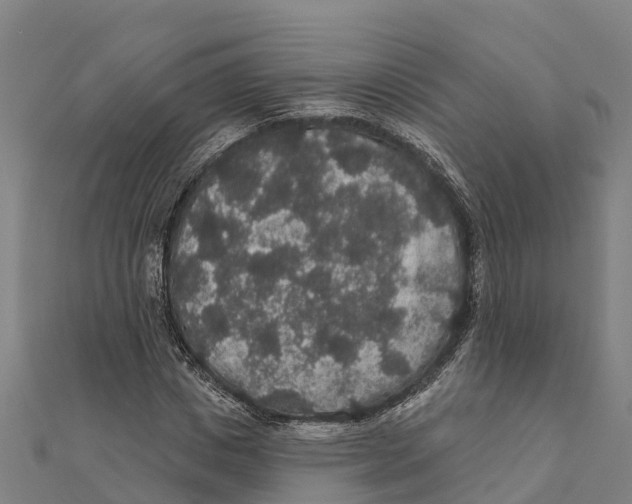 X0000111590825200908131338
