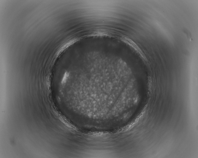 X0000111590826200908131338