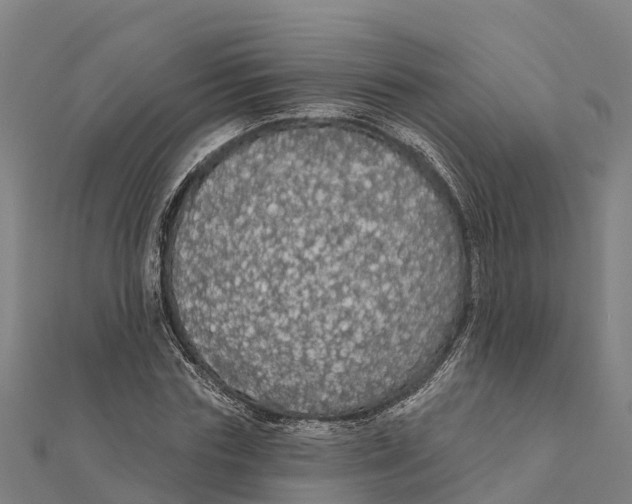 X0000111590827200908131338