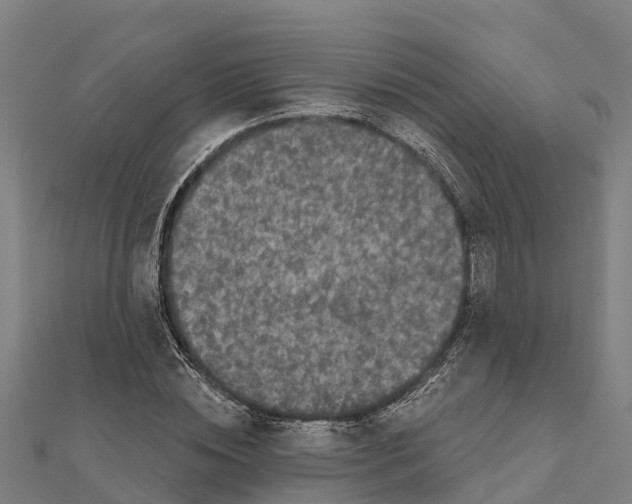 X0000111590828200908131338