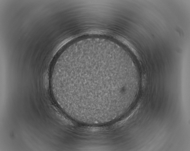 X0000111590829200908131338