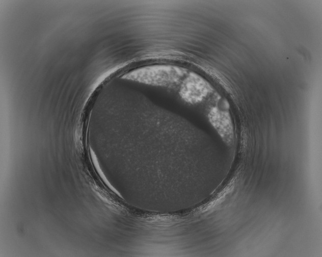 X0000111590830200908131338