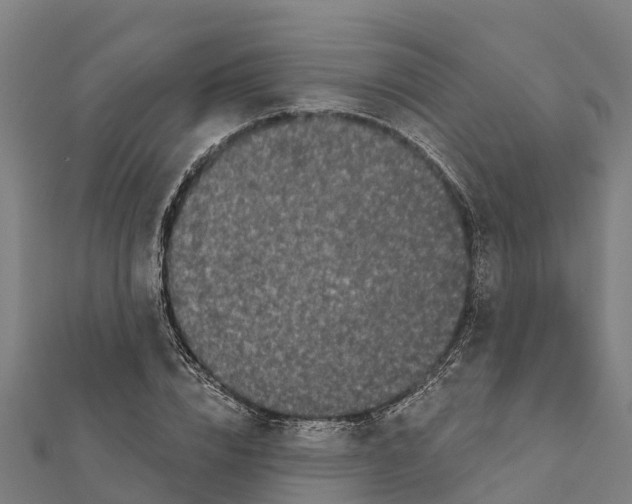 X0000111590832200908131338