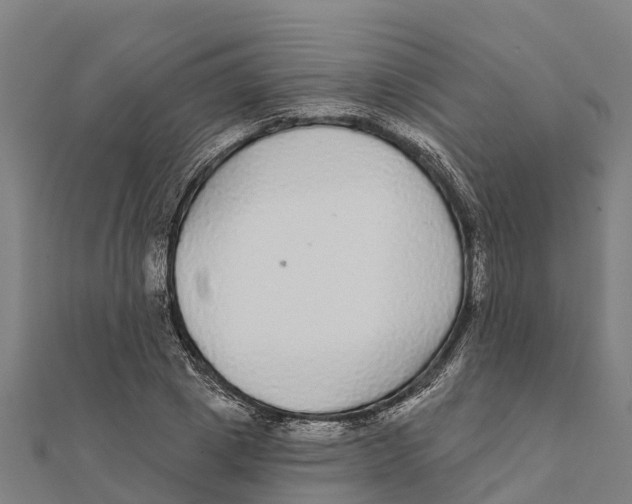 X0000111590833200908131338