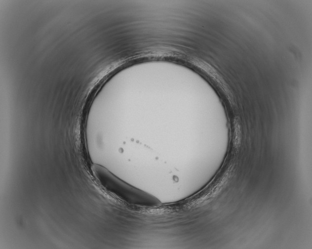 X0000111590834200908131338