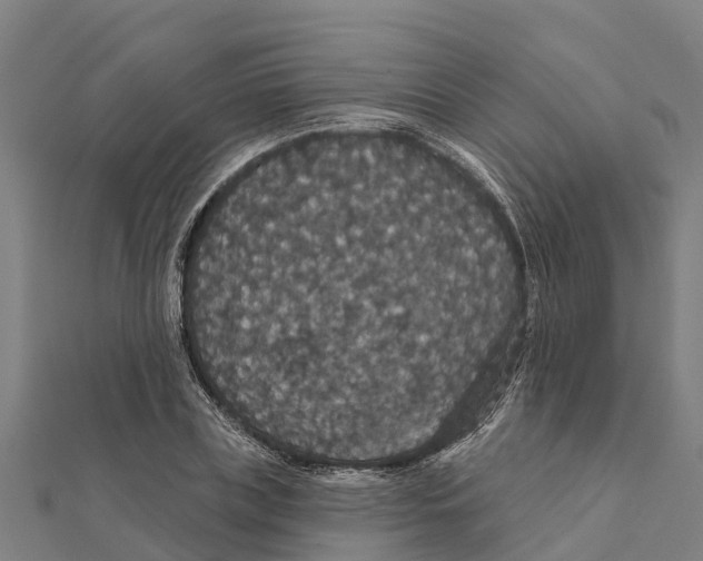 X0000111590835200908131338