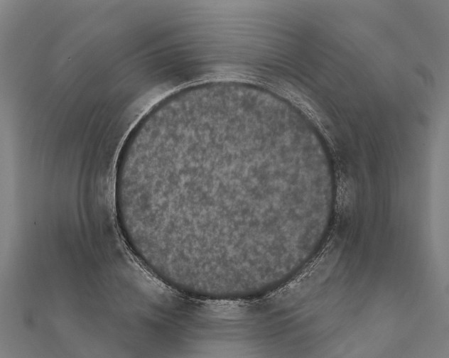 X0000111590836200908131339