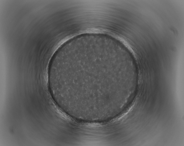 X0000111590837200908131339