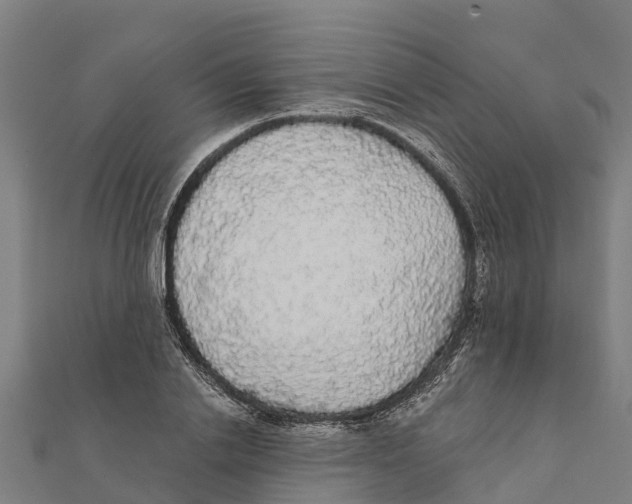 X0000111590838200908131339