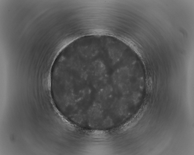 X0000111590839200908131339