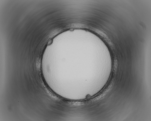 X0000111590841200908131339