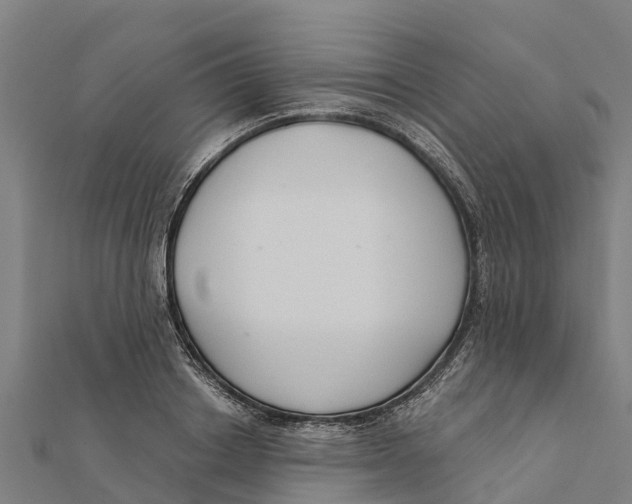 X0000111590842200908131339