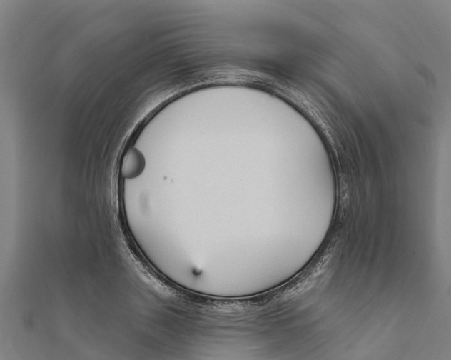X0000111590843200908131339