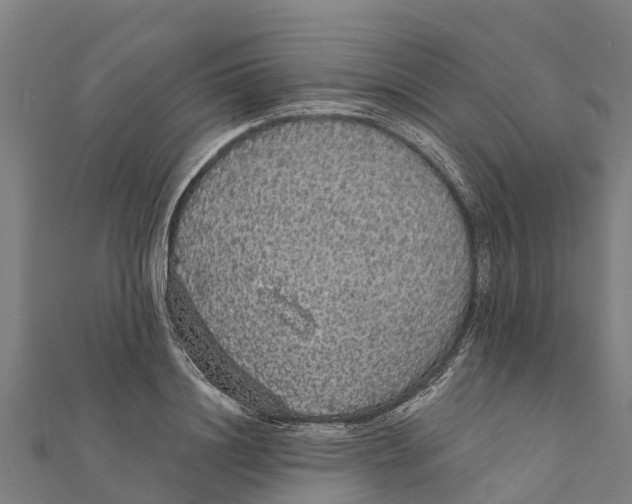 X0000111590844200908131339