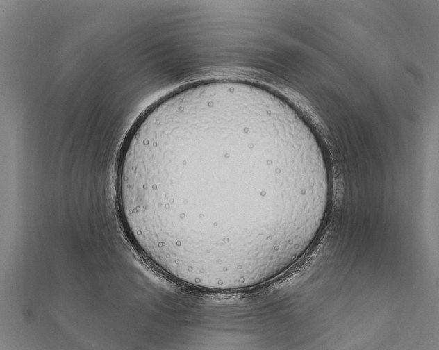 X0000111590846200908131339