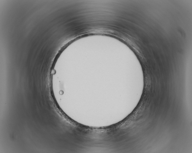 X0000111590848200908131339