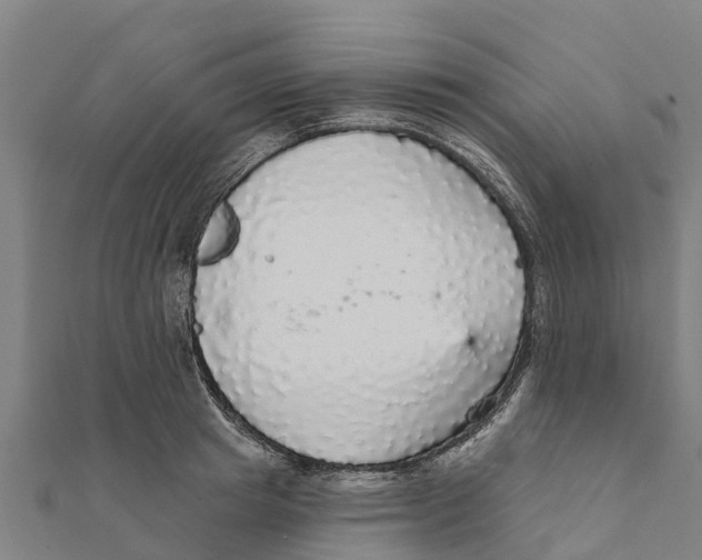 X0000111590849200908131339