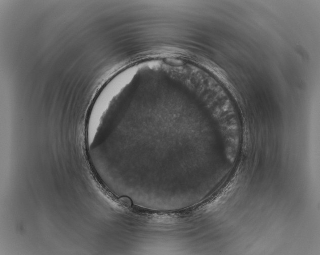 X0000111590850200908131339