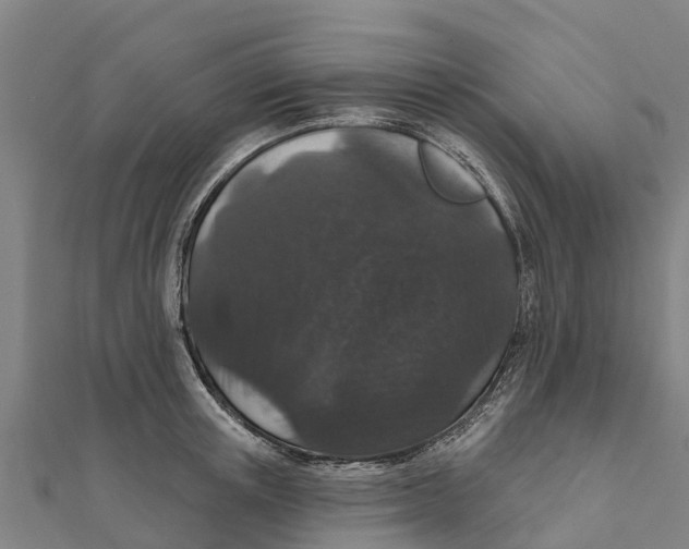 X0000111590851200908131339