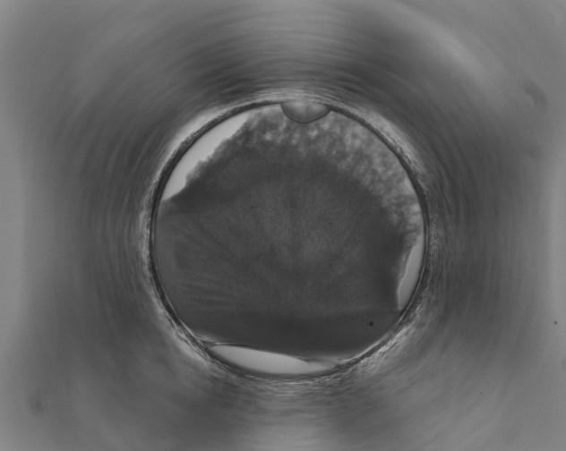 X0000111590854200908131339