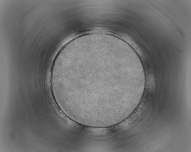 X0000111590856200908131339