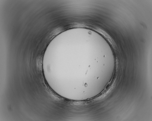 X0000111590857200908131339
