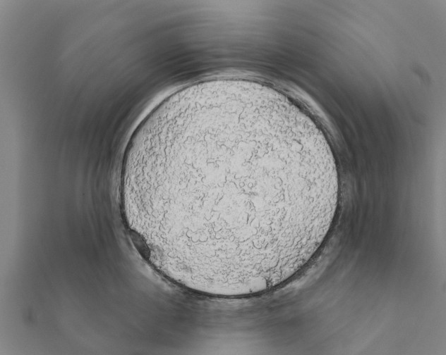 X0000111590860200908131339