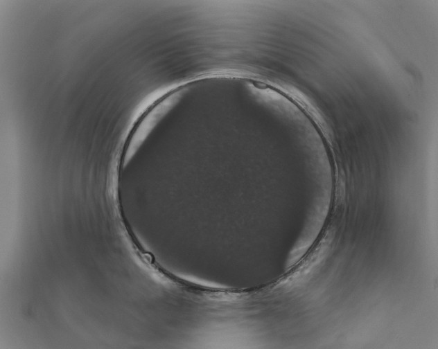 X0000111590862200908131339