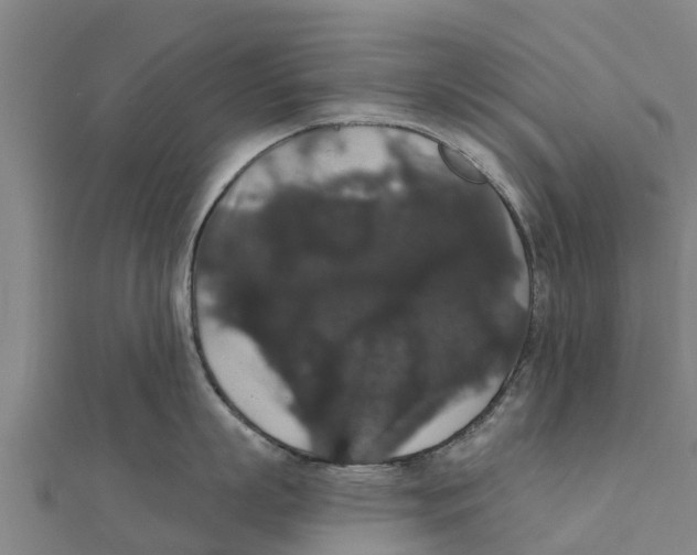 X0000111590863200908131339