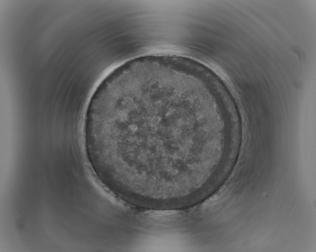 X0000111590864200908131339