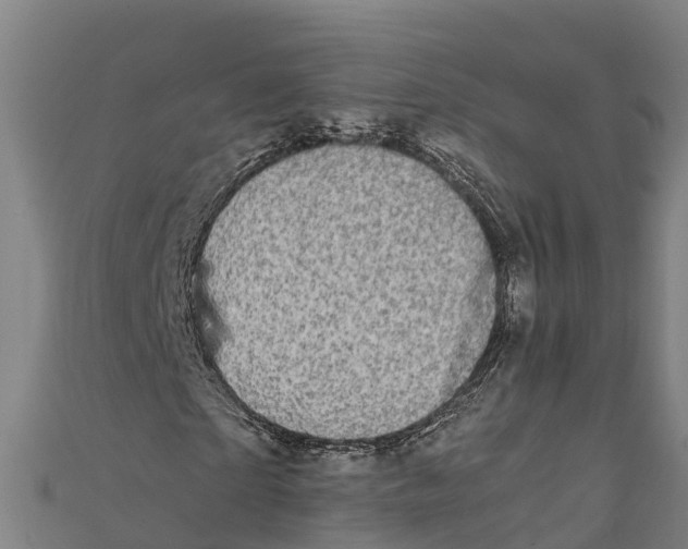X0000111590865200908131338