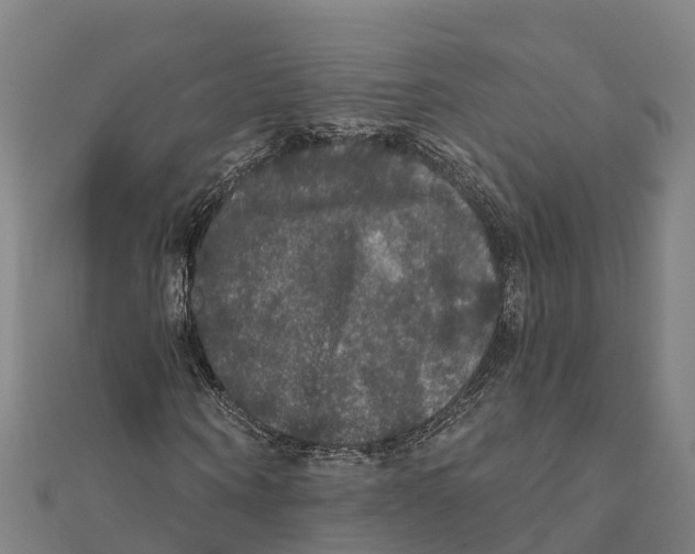 X0000111590866200908131338