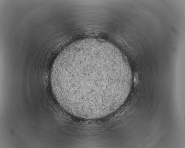 X0000111590867200908131338