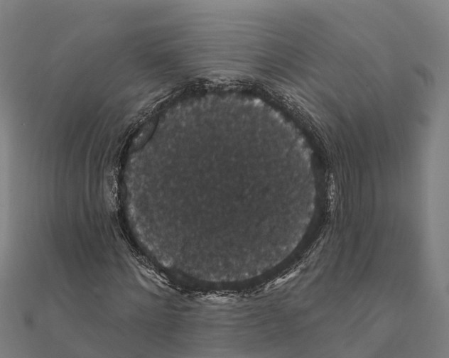 X0000111590868200908131338