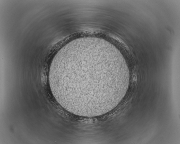 X0000111590869200908131338