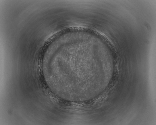 X0000111590870200908131338