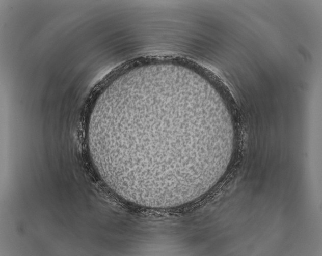 X0000111590871200908131338