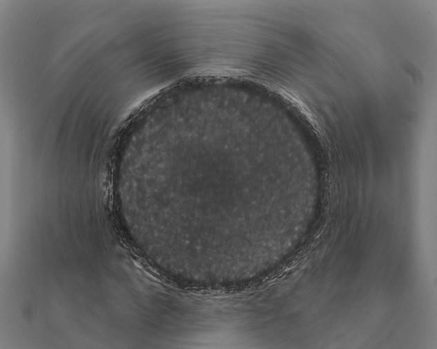 X0000111590872200908131338