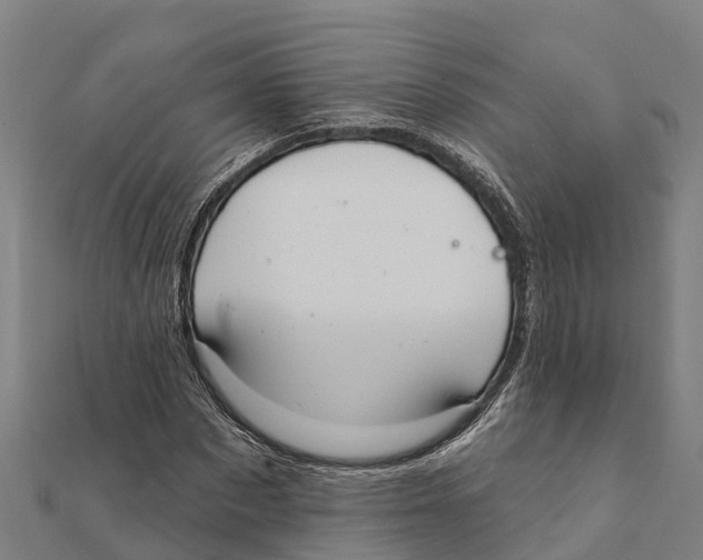X0000111590873200908131338